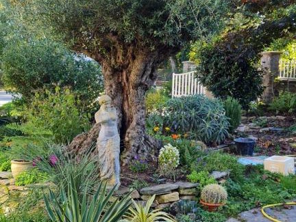 Cournon Casa | La Villa Saint Martin