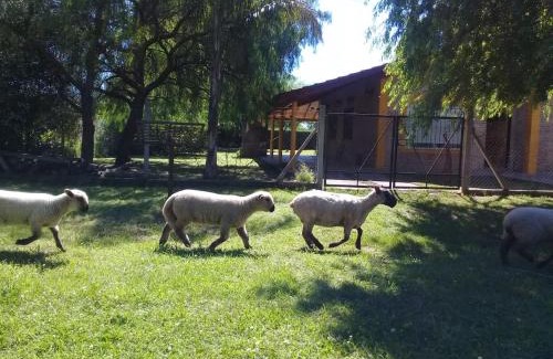 Villars Casa | La Villarense