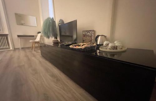 Parma City Centre Apartamento | LA VIOLETTA DI PARMA/DEL DUCATO