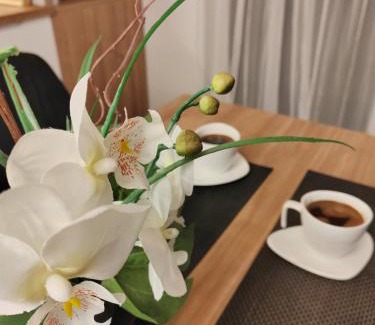 Stari Banovci Apartamento | La Vista