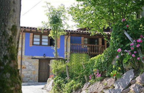 Becena Casa | La xica ll