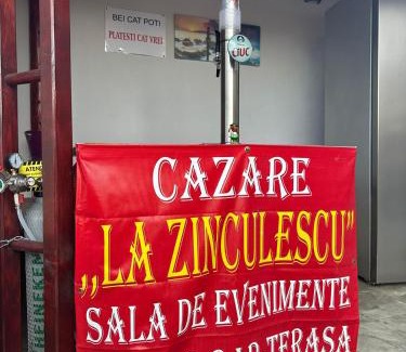 Albestii Paminteni Casa | La Zinculescu