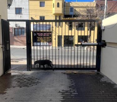 Salta Apartamento | La Zuvi