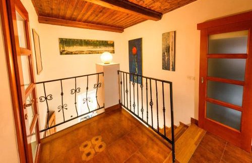 Dane Casa | LAAS ART GALLERY