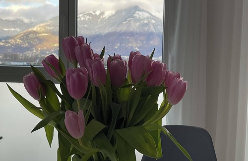 Bouveret Apartamento | Lac Leman Apartment