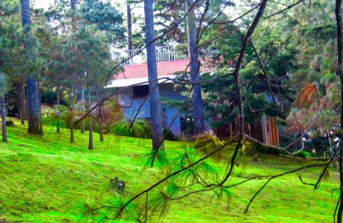 Nueva Concepcion Casa | Lacasadelbosquesv
