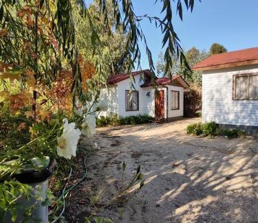 Santa Cruz Apartamento | "LaEmboscadapuntocl"Casas y departamentos en el huerto