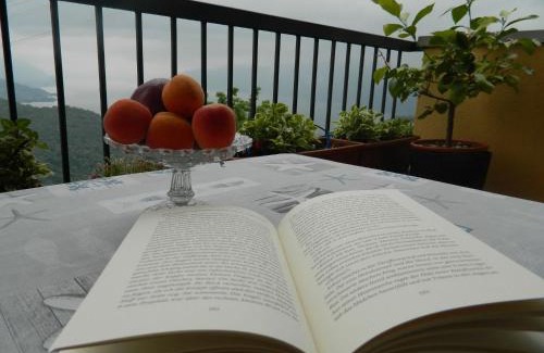 Vignone Apartamento | Lago Maggiore Holiday House with Panoramic Views