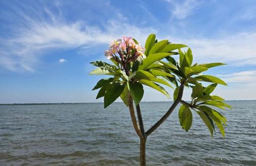 Negombo Casa | Lagoon Bay Resort