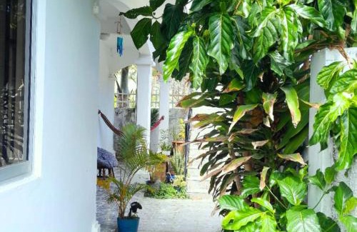 Blue Bay Casa | Lakaz Metiss Arobaz