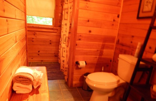 Sevierville Cabina | Lake Access "Discounted"