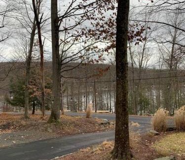 Greentown Chalet De Esquí | Lake Access with a View! Lake Wallenpaupack .