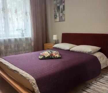 Visaginas Apartamento | Lake apartment