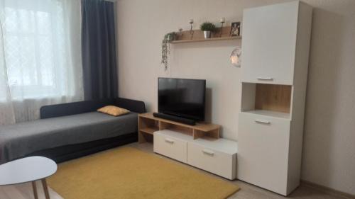 Visaginas Apartamento | Lake apartment