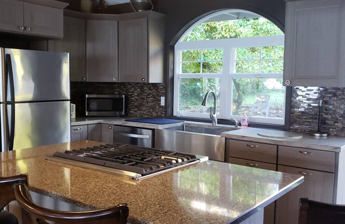 Amanda Park Casa | Casa de vacaciones Lake Quinault / ¡La mejor vista al lago! Nueva remodelación de cocina completa