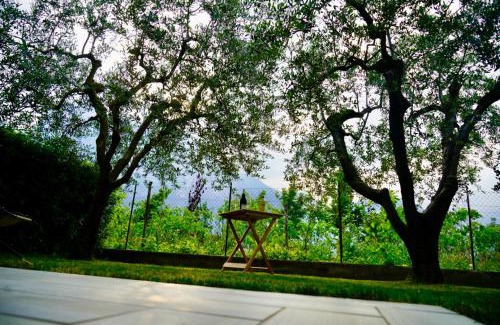 Riva del Garda Apartamento | Lake & rest