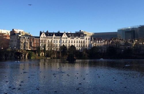 Wijk van de Squares Apartamento | Lake view apartments