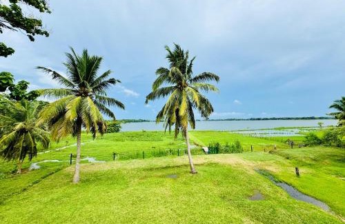 Yodakandiya Cama Y Desayuno | Lake View Cottage