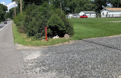 Ulster Park Cabaña | Lakefront Cottage, Hudson Valley NY
