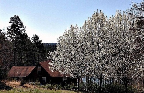 Drasco Cabina | Cabaña frente al lago en Quiet Cove on Greers Ferry Lake