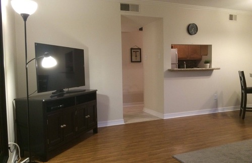 Bucktown Apartamento | A orillas del lago Comfort # 2