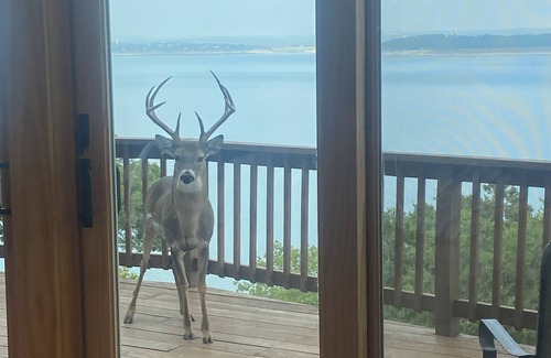 Canyon Lake Casa | LakeFRONT,FREE Kayaks & Entire FLOOR of GAMES