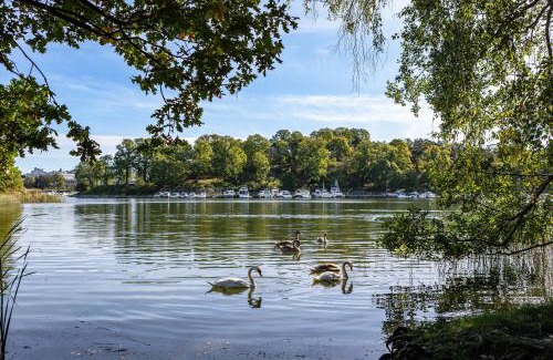 Albano Villa | Lakefront Getaway in Hagaparken Central Stockholm