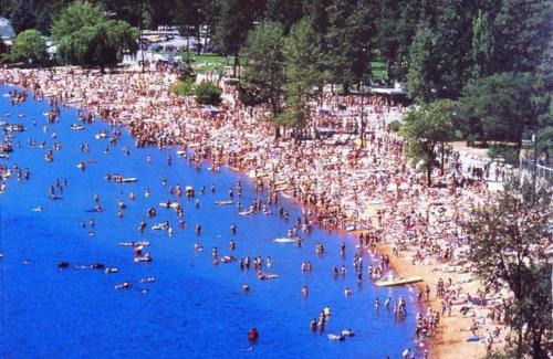 Okanagan-Similkameen Apartamento | Lakefront Nest Beach House Suite