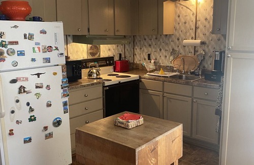 Leesburg Casa | Lakeside fishing cabin with boat lift for your boat! Year round water.