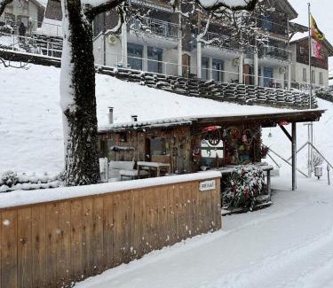 Niederried bei Interlaken Apartamento | LakeSide Villa - 18