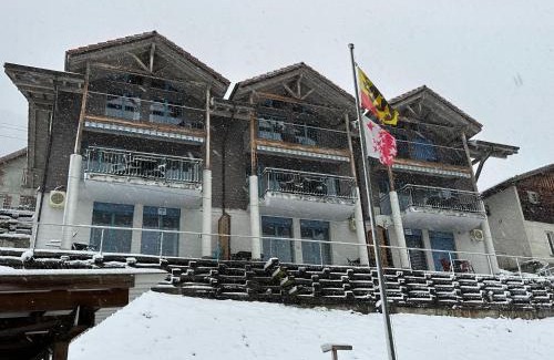 Niederried bei Interlaken Apartamento | LakeSide Villa - 18