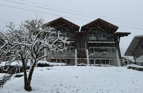 Niederried bei Interlaken Apartamento | LakeSide Villa - 18