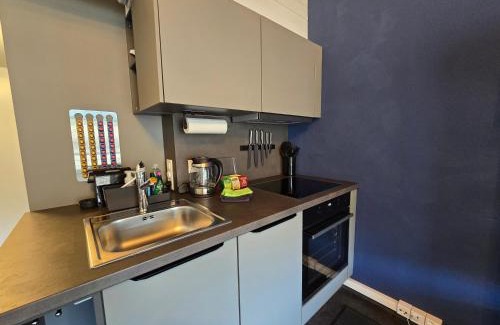 Faulensee Apartamento | Lakeview Loft*Lake/Ferry access* Central