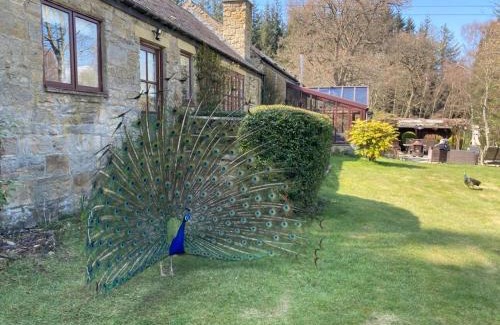 Consett Apartamento | Lakewood Courtyard Northumberland