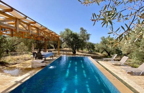 Selcuk Casa | Lamin House