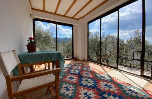 Selcuk Casa | Lamin House