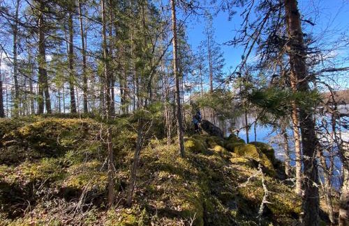 Oravi Otro | Lammassaari