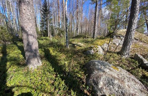 Oravi Otro | Lammassaari