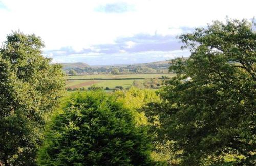 Lamphey Casa | Lamphey Studios