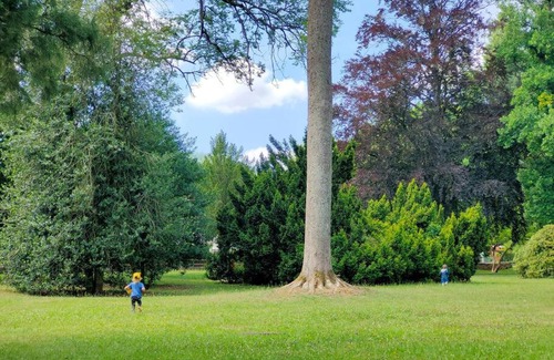 Lutzelhouse Casa | Lancre/Maison kids-friendly en Alsace
