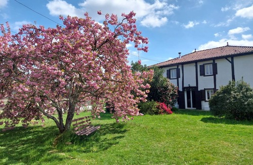 Mezos Casa | Landes - Grande Maison Proche Océan