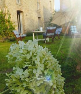 Wachow Apartamento | Landhaus Sinneswandel
