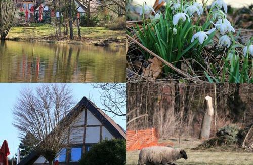 Druebeck Hotel | Landhaus Tonmühle
