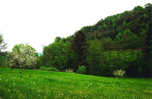Lassnitzhoehe Cama Y Desayuno | Landhaus Waldfrieden