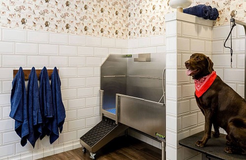 Uptown Apartamento | Landing at Raleigh Slabtown - 1 Bedroom in Northwest Portland