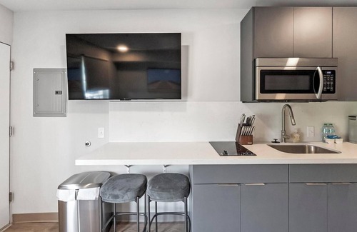 Hermitage Apartamento | Landing | Spectacular Studio in Downtown Hermitage