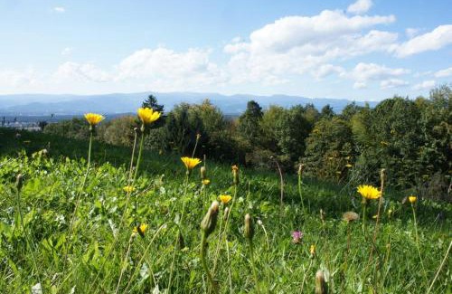Fresing Chalet De Esquí | LandLoft in the Sausal wine region