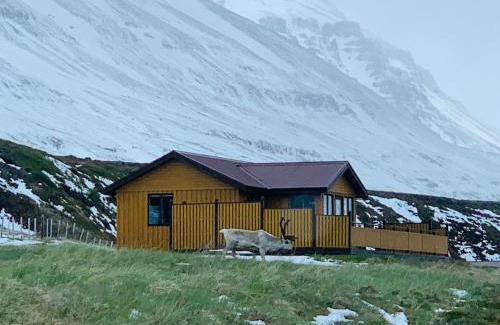 Seydisfjordur Casa | Langahlid Cottages & Hot Tubs