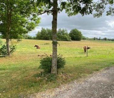 Oster Apartamento | Lantgård nära stad, fiske o golf