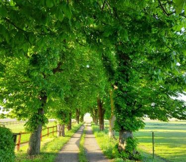 Oxie Apartamento | Lantligt och lugnt boende nära natur och stad